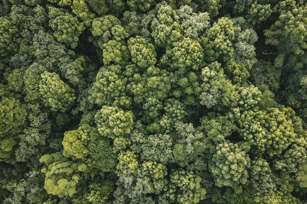 Évaluation Médicale: Droits et Devoirs des Professionnels de Santé